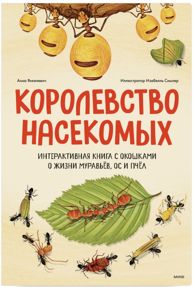 Королевство насекомых. Интерактивная книга с окошками о жизни муравьёв, ос и пчёл. Анна Янкелевич