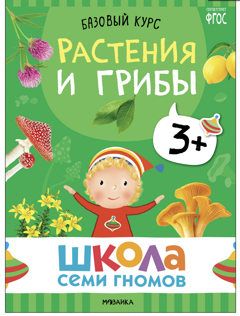 Школа семи гномов. Базовый курс. Окружающий мир. Комплект 3+