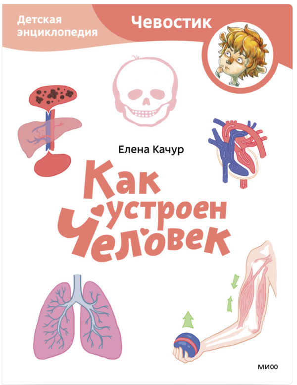 Как устроен человек. Детские энциклопедии с Чевостиком (Paperback). Елена Качур